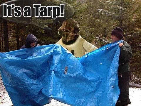 http://static.velvetcache.org/pages/2007/5/25/its-a-trap/tarp-30198.jpg