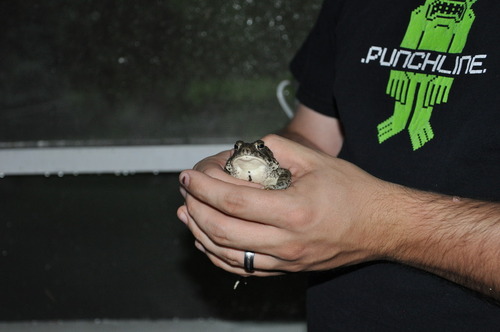 Melvin the Toad